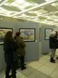 Library art show 2011 030